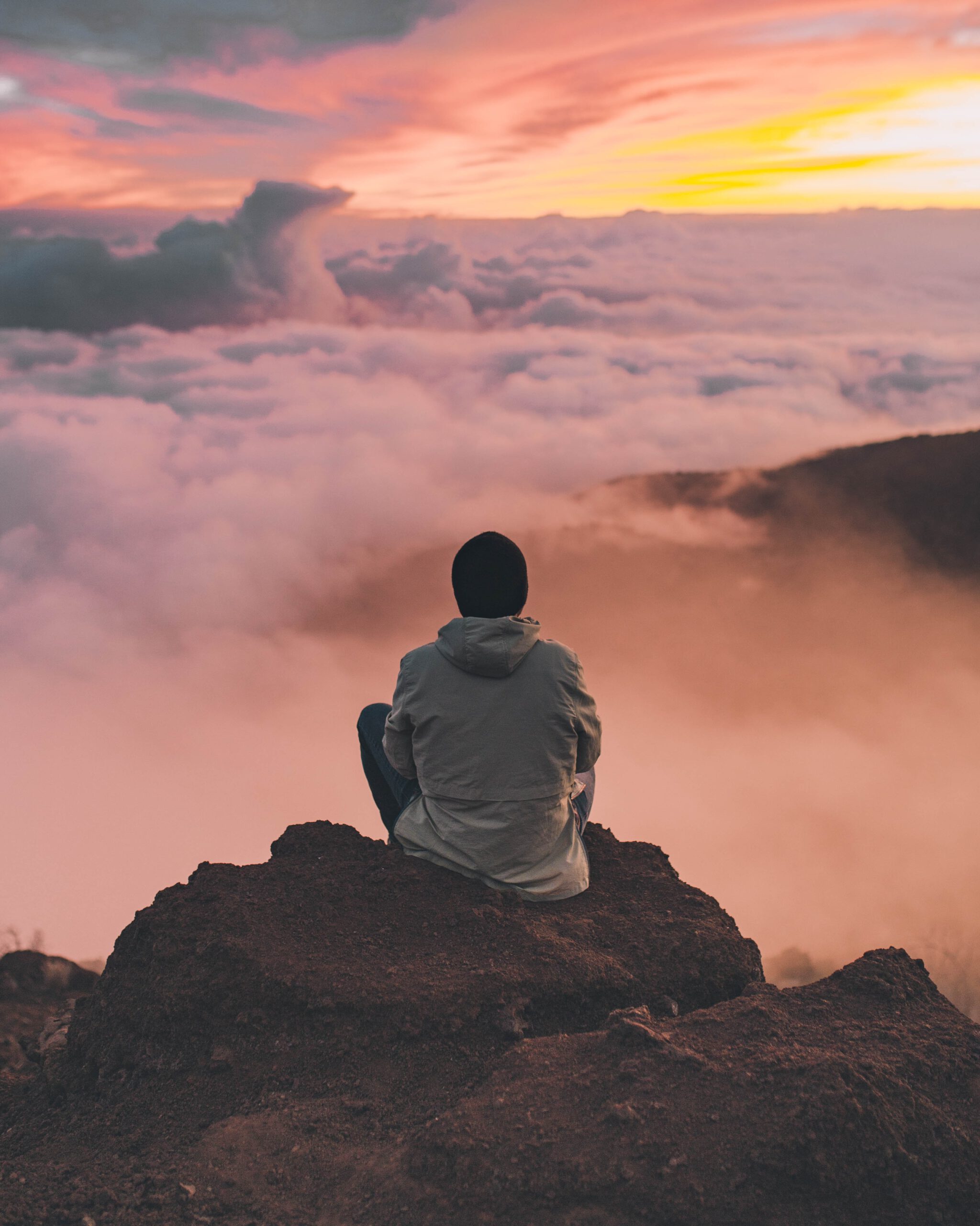 Introvision Coaching